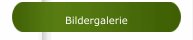 Bildergalerie